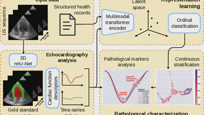 Fusing Echocardiography Images and Medical Records for Continuous Patient Stratification featured image