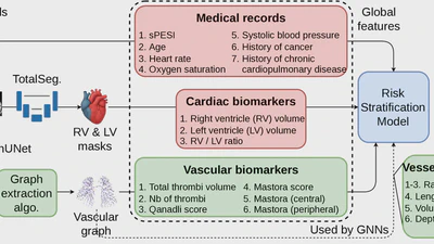Pulmonary Embolism Risk Stratification from CTPA and Medical Records: Vascular Graphs Are Not All You Need featured image